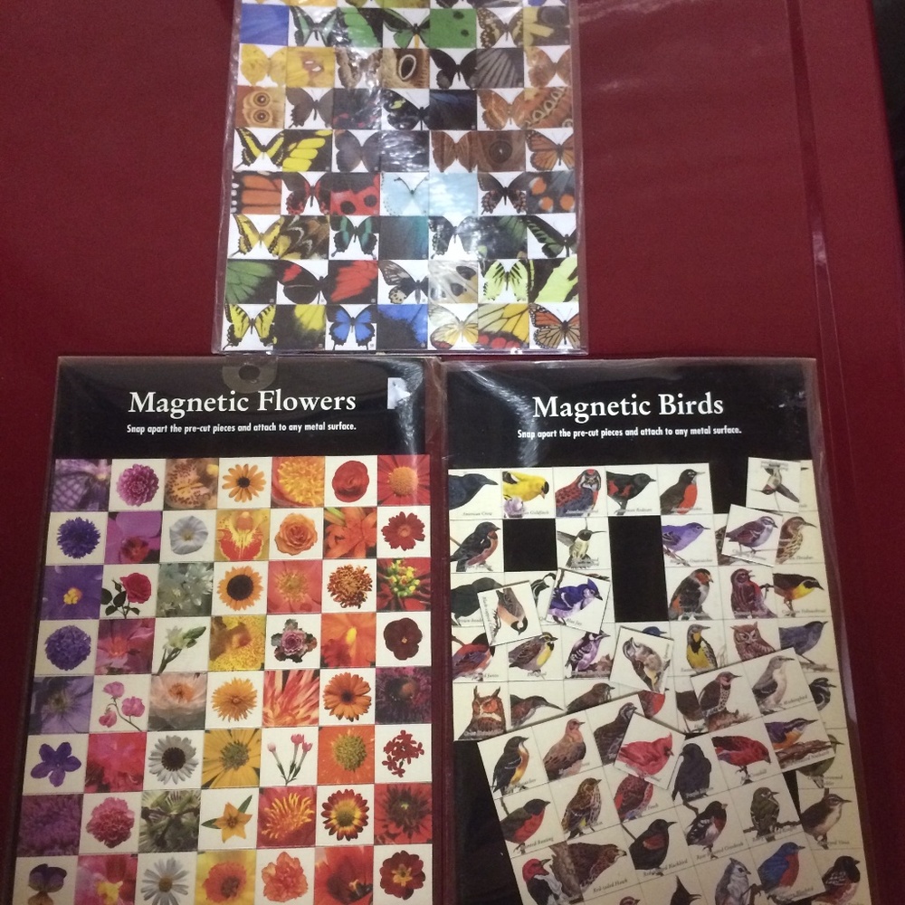 Magnets Birds, Butterflies, Flowers Nature Scenes Educational, Fridge or Office
